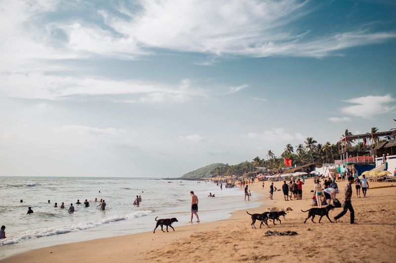 Goa Beach Tour - Baga Beach