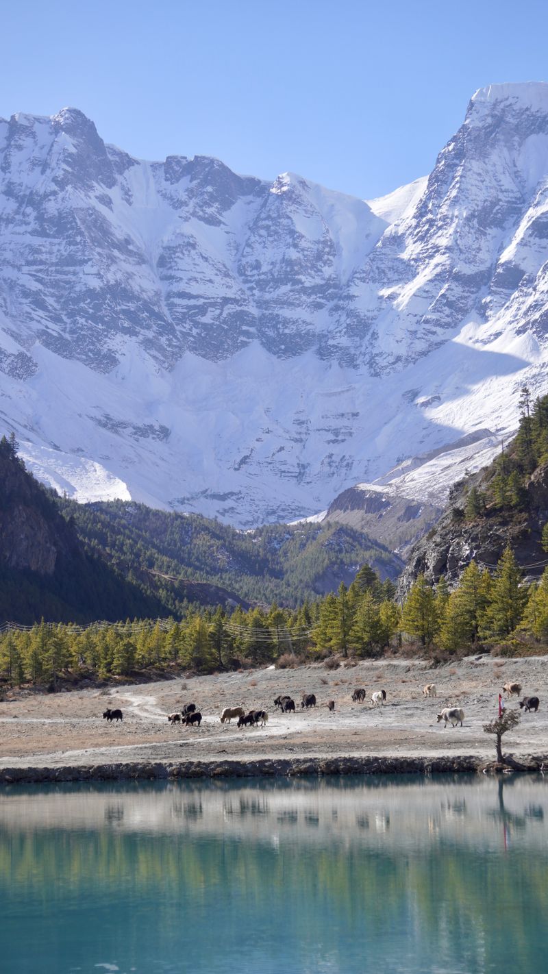 Manang - Himalayan Peaks